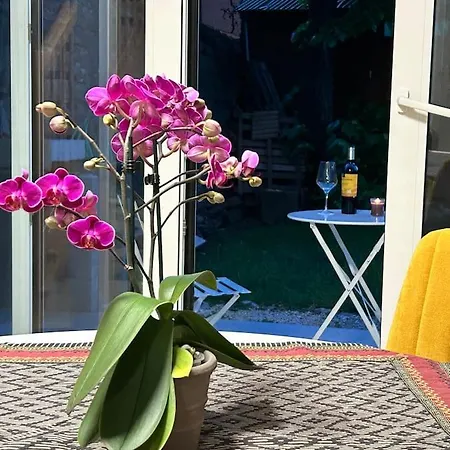 Daire Monolocale Con Giardino