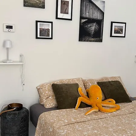 Monolocale Con Giardino Apartment *